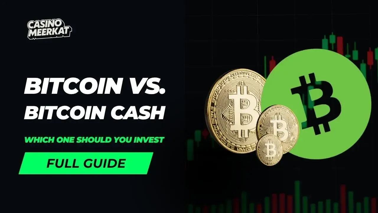 Bitcoin vs. Bitcoin Cash