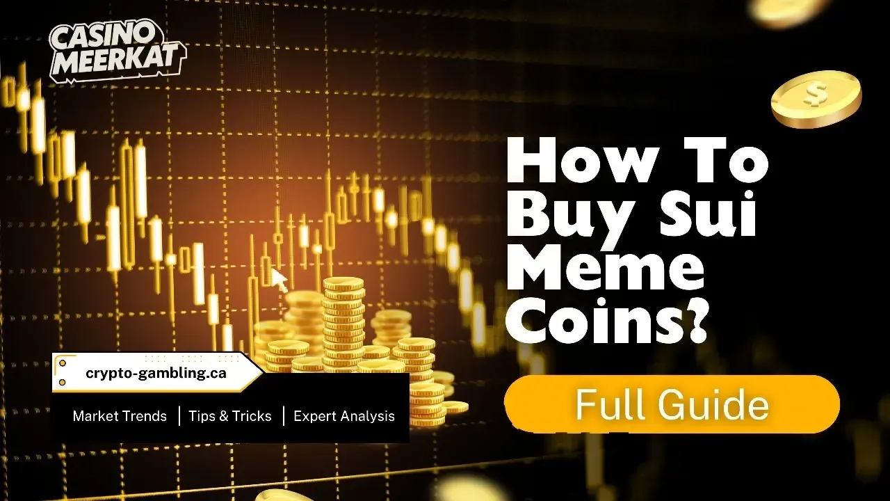 How to Buy Sui Meme Coins