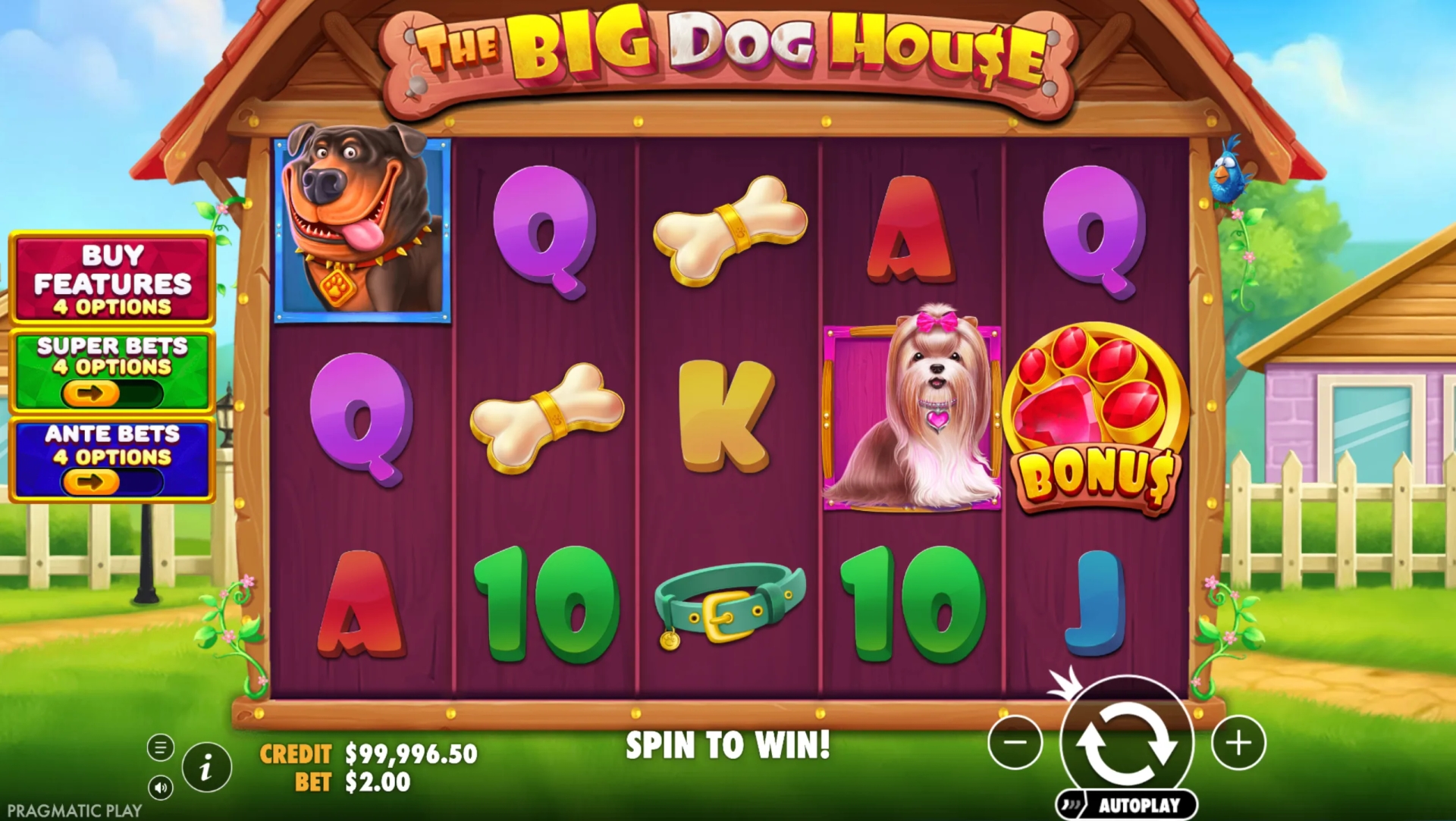 Captura de pantalla del juego de la tragamonedas demo The Big Dog House de Pragmatic Play