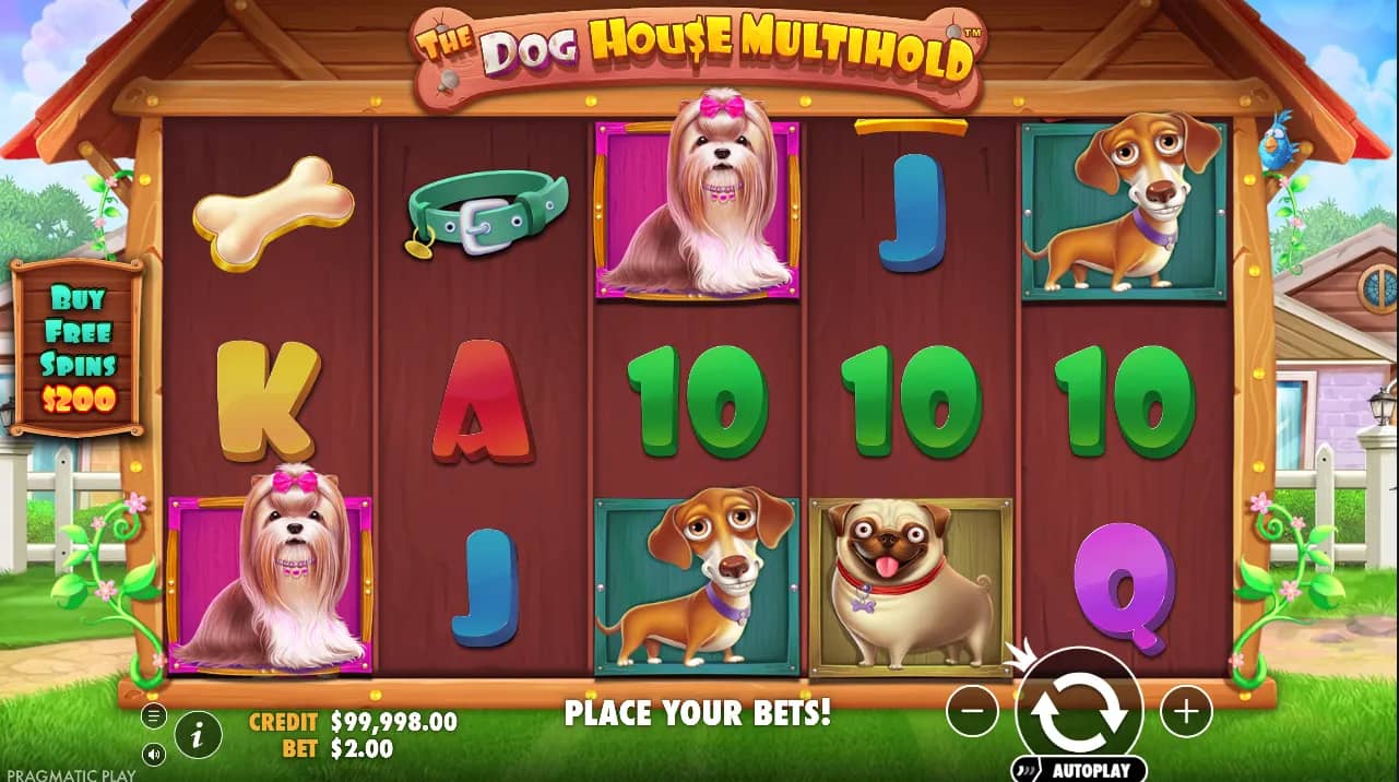 The Dog House Multihold Slot Gameplay