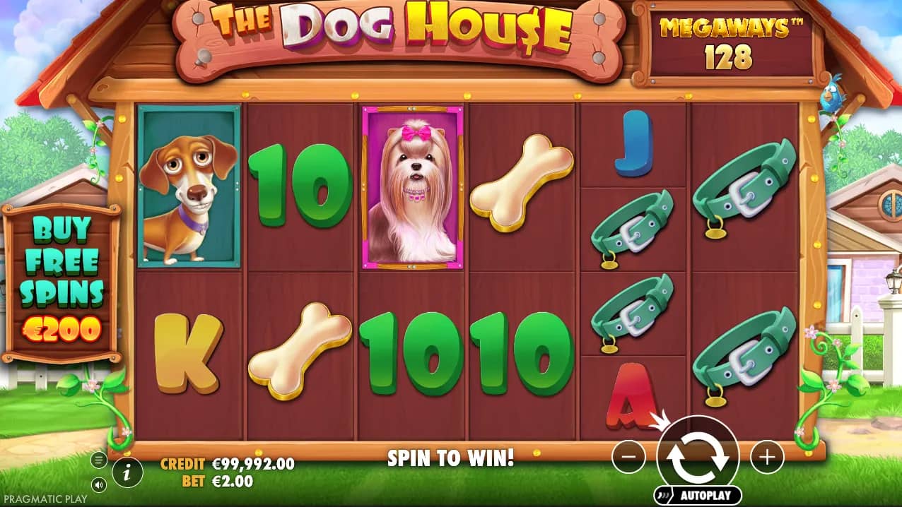 The Dog House Megawyas Slot Gameplay