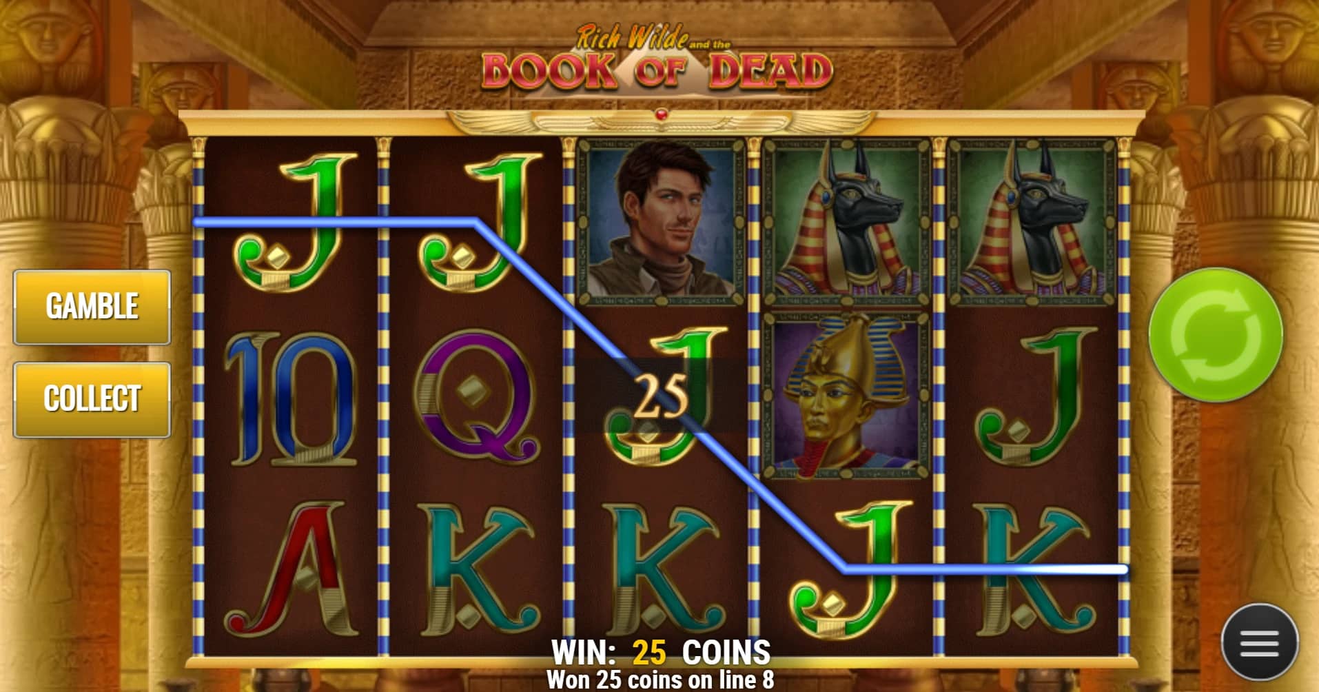 Book of Dead demo winning line