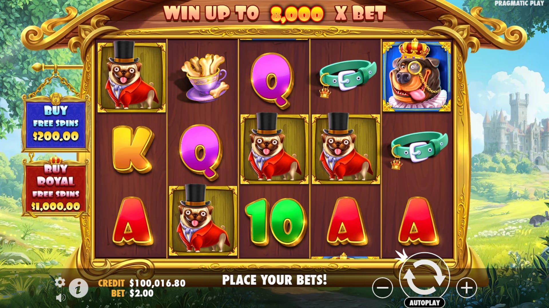 The Dog House - Royal Hunt Slot Gameplay